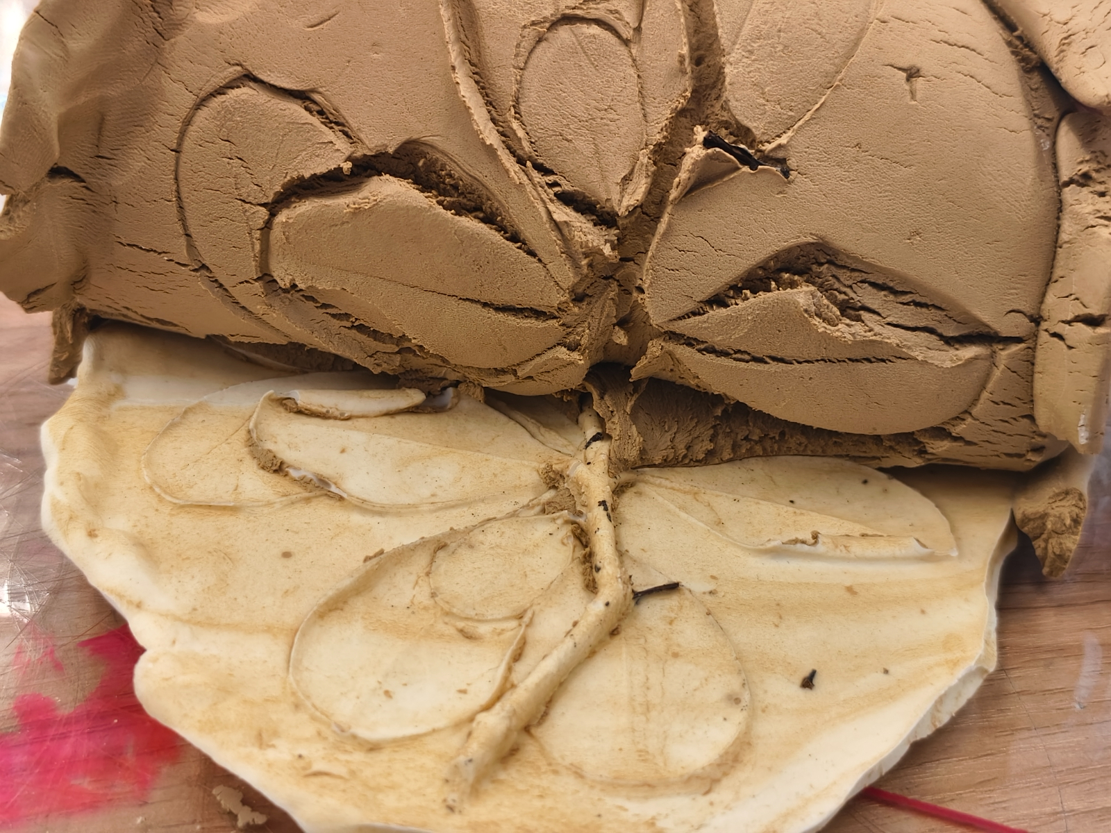 微信图片_20261021100233_272_156.jpg