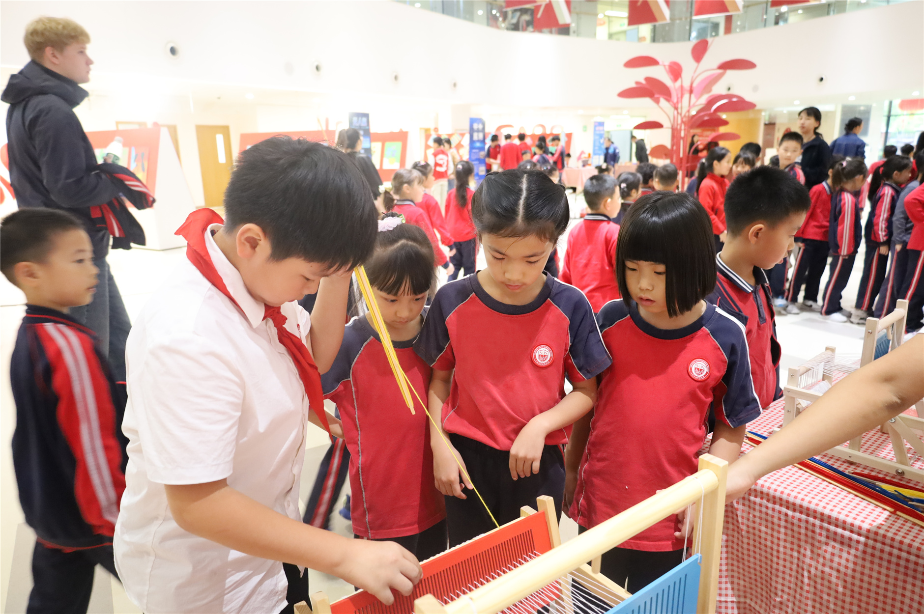 IMG_8539.jpg IMG_8539.jpg