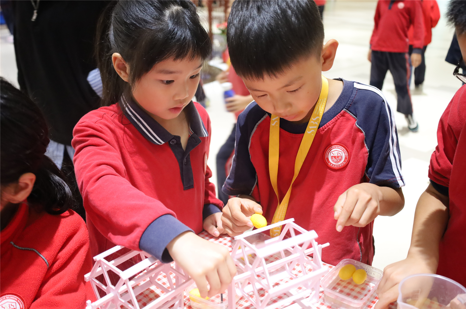 IMG_8561.jpg IMG_8561.jpg