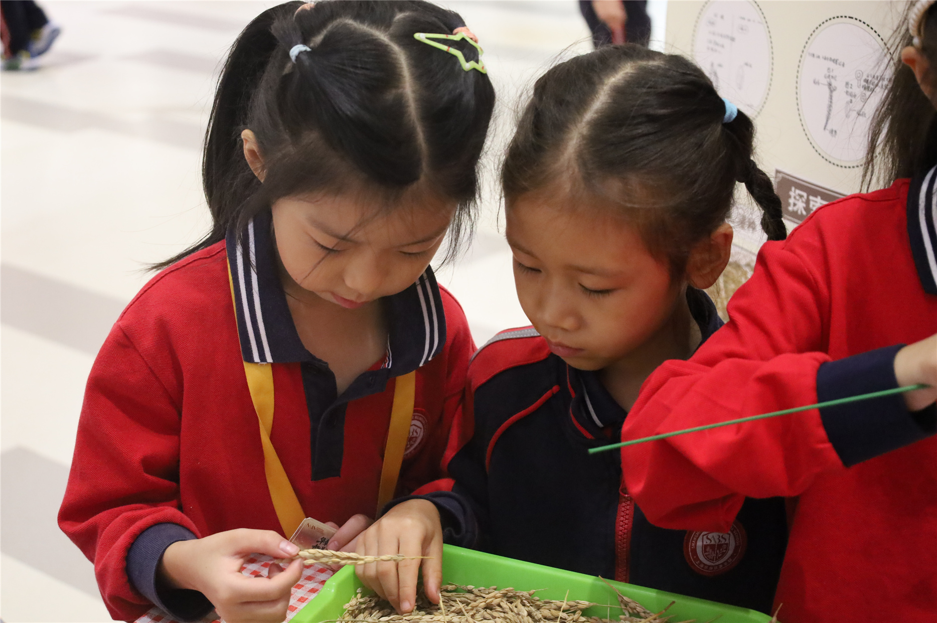 IMG_8571.jpg IMG_8571.jpg