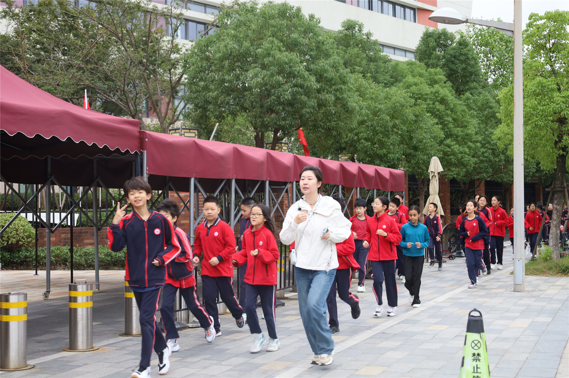 IMG_8296.jpg IMG_8296.jpg