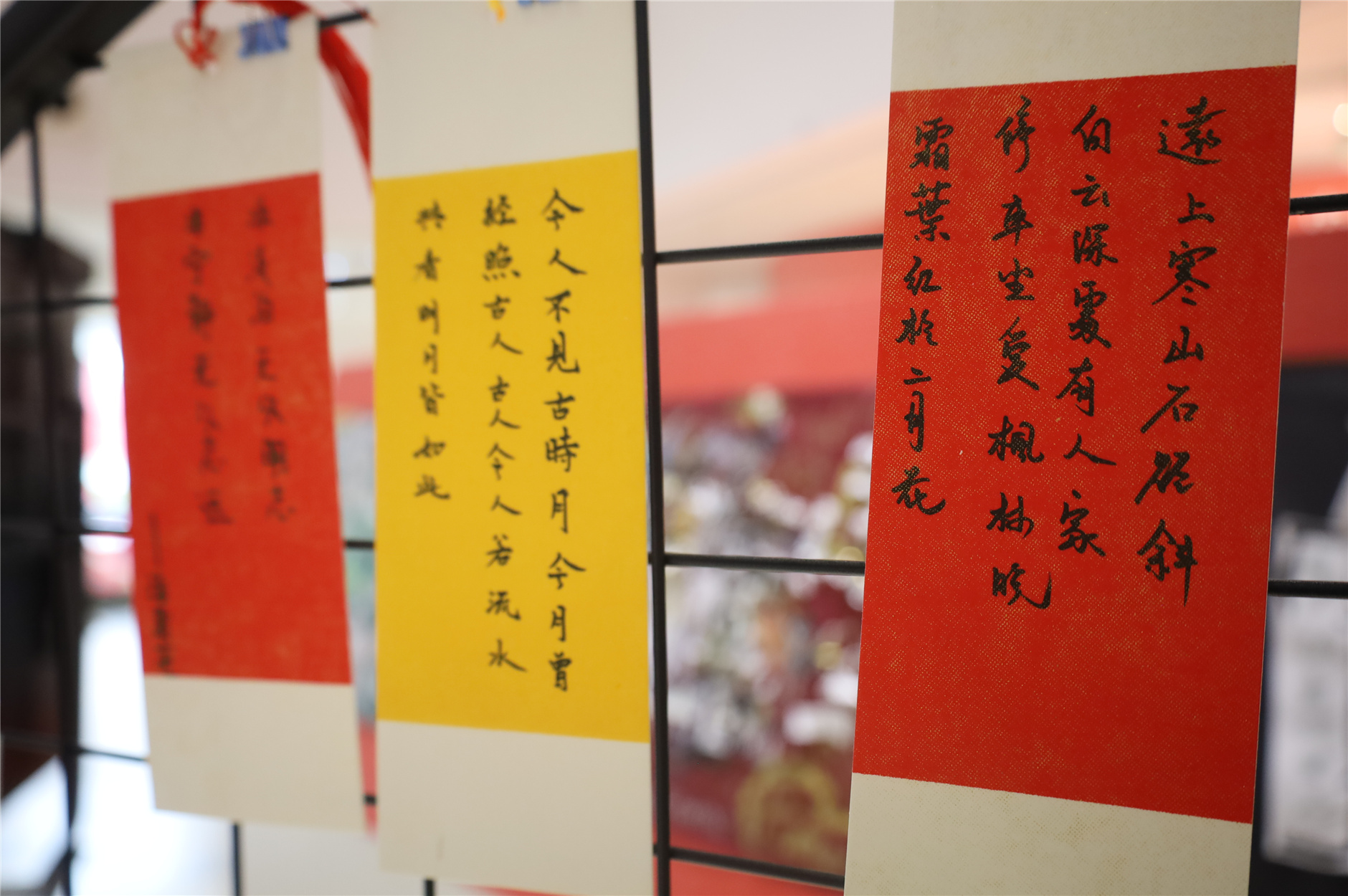 IMG_9073.jpg IMG_9073.jpg