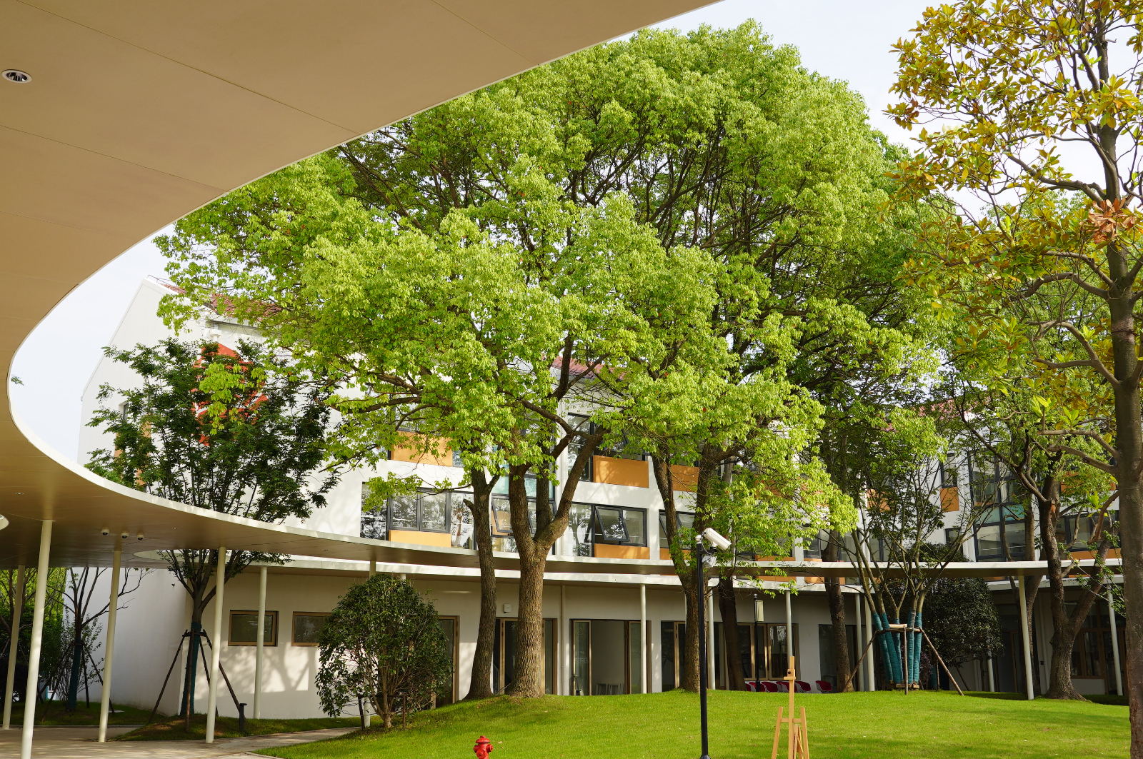 DSC09650.JPG DSC09650.JPG