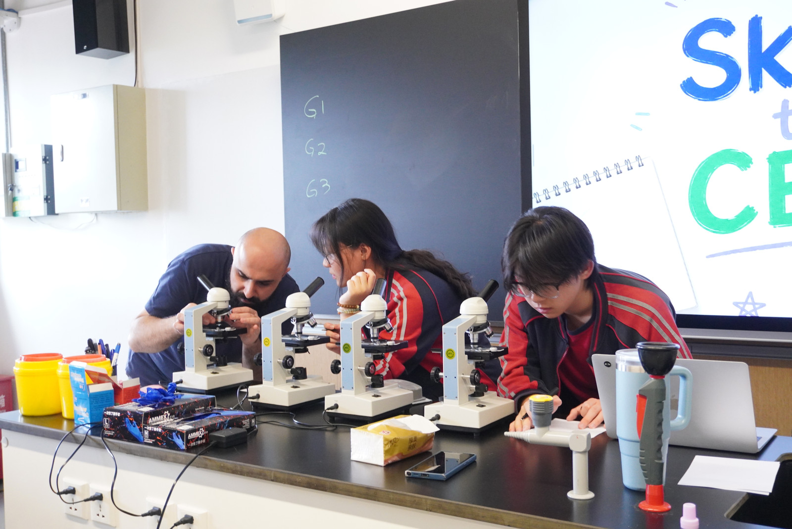DSC06265-4740732386.jpg