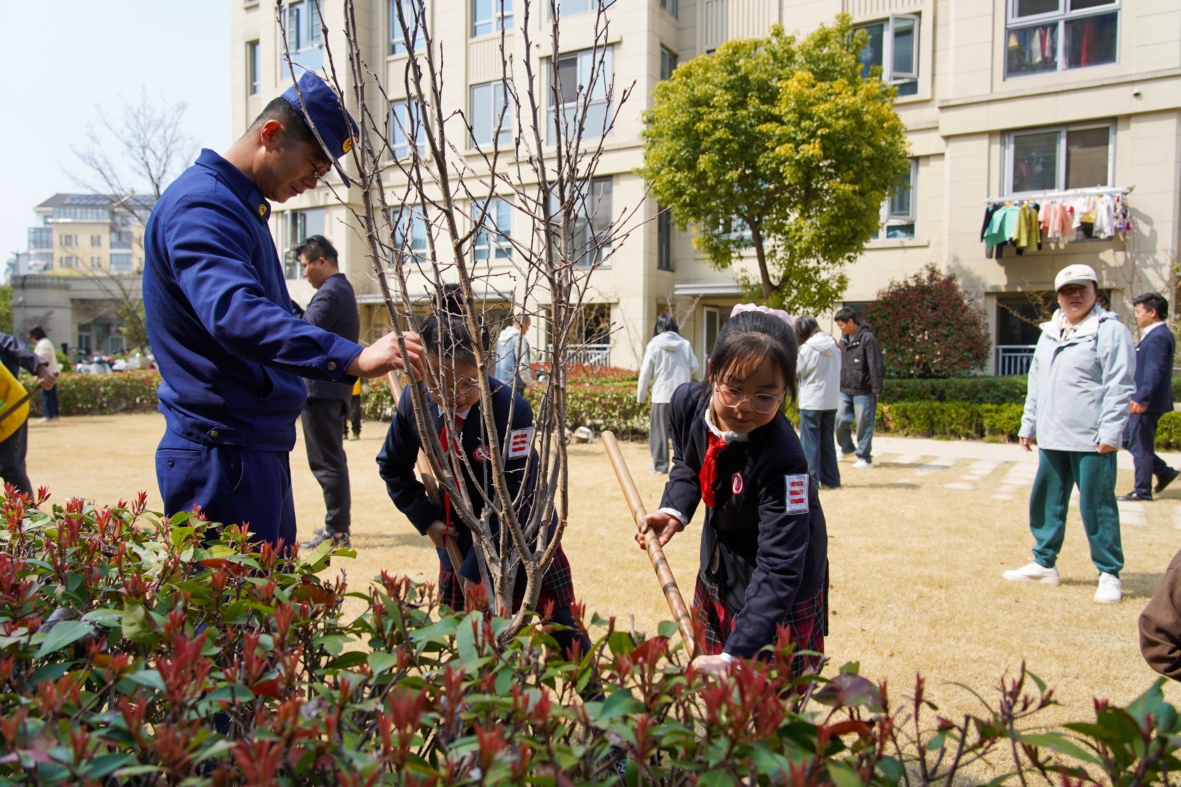 DSC09806-14.jpg DSC09806-14.jpg
