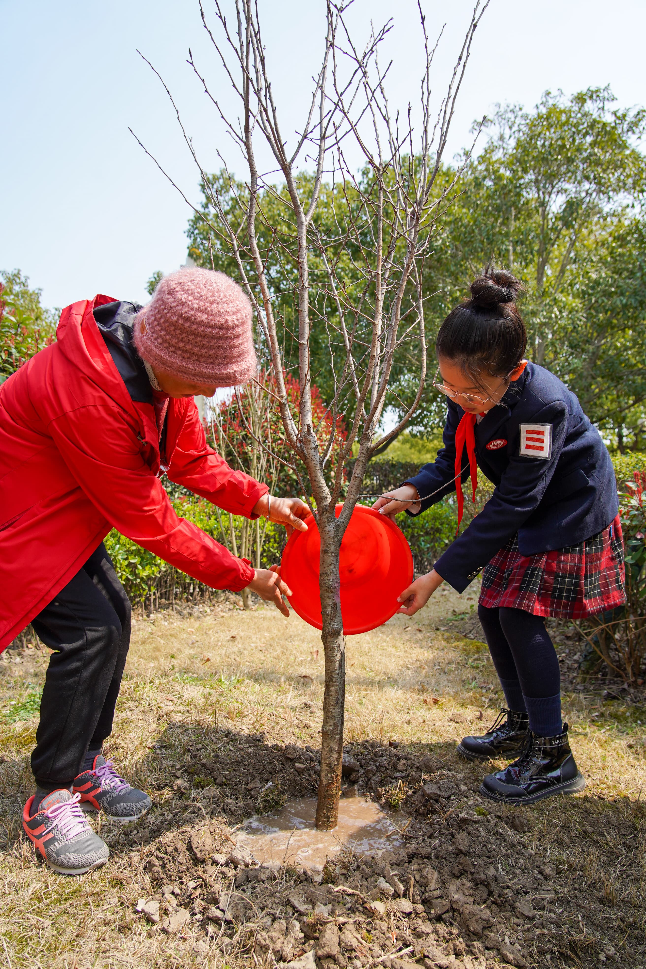 DSC09930-23.jpg DSC09930-23.jpg