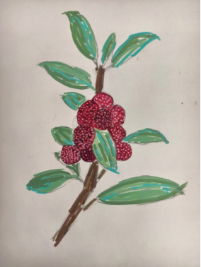 《华旭植物志》——少年植物艺术展801.png